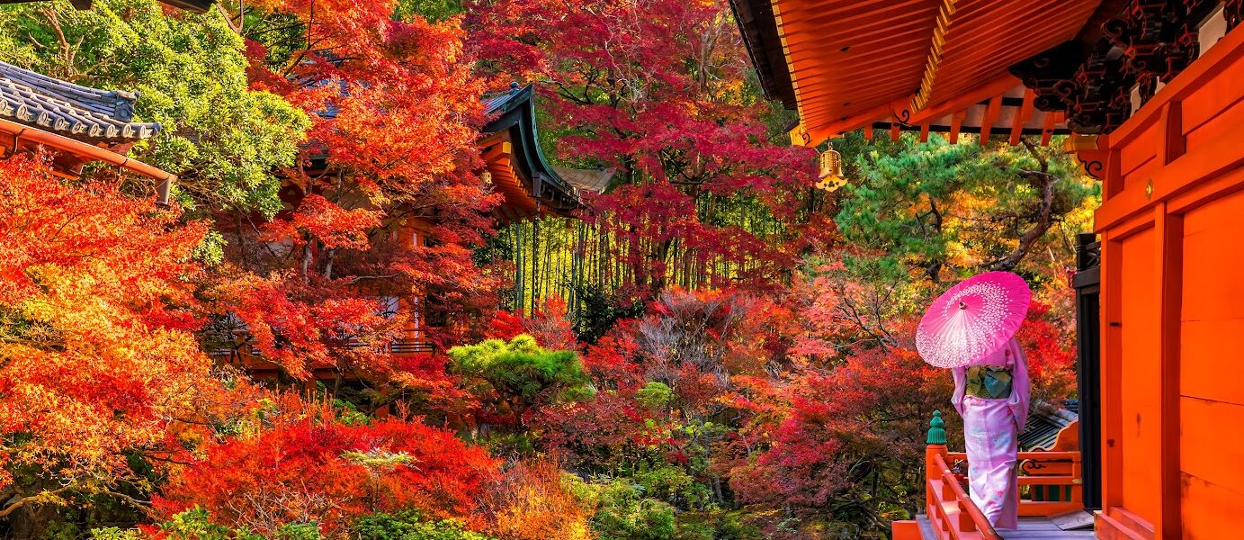 ใบไม้เปลี่ยนสีญี่ปุ่น