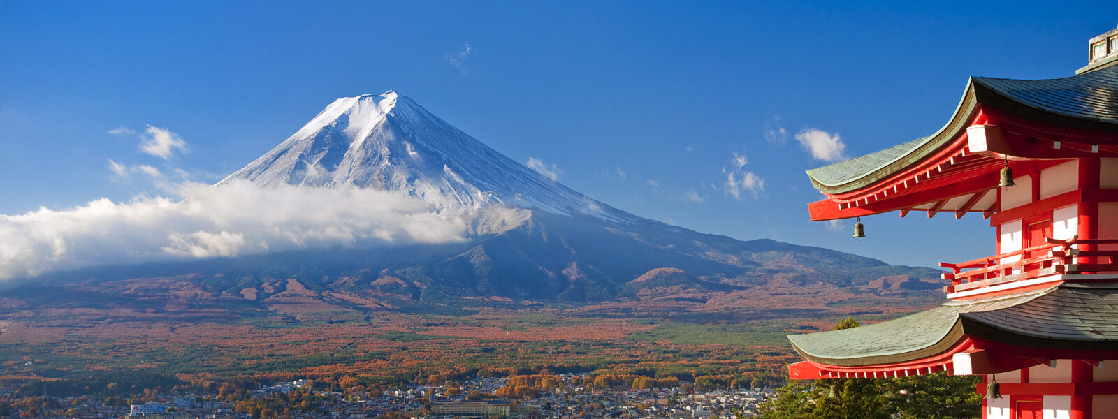mt. fuji