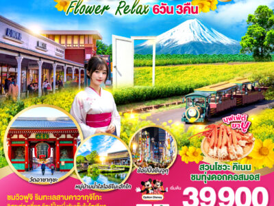 TOKYO FUJI FLOWER RELAX 6D 3N โดยสายการบินไทย [TG]