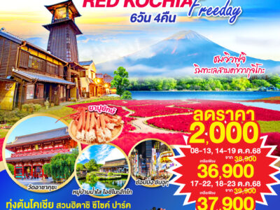TOKYO FUJI RED KOCHIA FREEDAY 6D 4N โดยสายการบินไทยแอร์เอเชีย เอ็กซ์ [XJ]