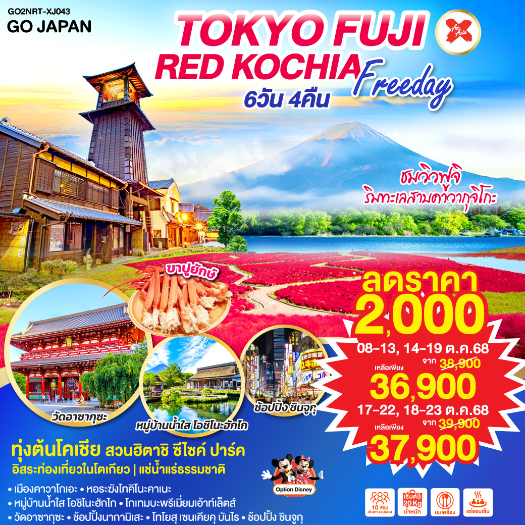 TOKYO FUJI RED KOCHIA FREEDAY 6D 4N โดยสายการบินไทยแอร์เอเชีย เอ็กซ์ [XJ]