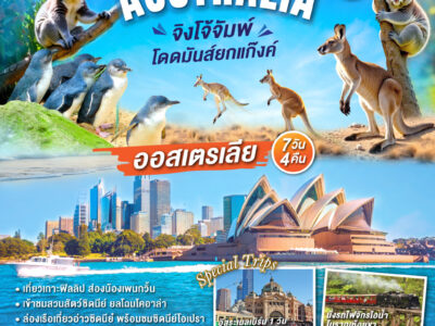 ออสเตรเลีย จิงโจ้จั๊ม โดดมันส์ยกแก๊งค์ 7 วัน 4 คืน โดยสายการบินไทย (TG)