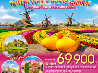 BENELUX BACK TO THE GARDEN และเมืองแปลกบาเรล์เฮรตโท นัสเซา เบลเยี่ยม ลักเซมเบิร์ก เนเธอร์แลนด์ 8 วัน 5 คืน โดยสายการบิน Singapore (SQ)